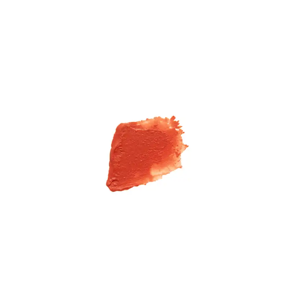 Le Lip Tint - Terre Rouge - Tester